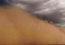 Florida alerta a los alérgicos la llegada de tormenta de polvo del Sáhara estados unidos, polvo, sahara, salud,