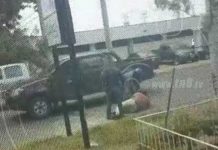 Gárgolas asaltan a plena luz del día (Video)