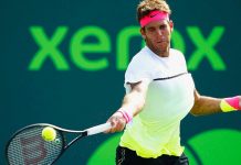 Regresa Del Potro