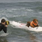 tablas de surf