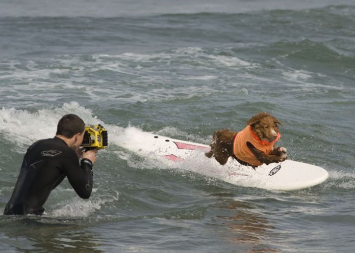 pp1 tablas de surf