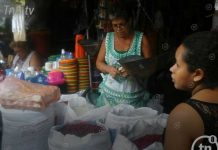 Precios de canasta básica estables en mercados