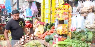 nicaragua, precios, mercado, canasta basica, estabilidad,