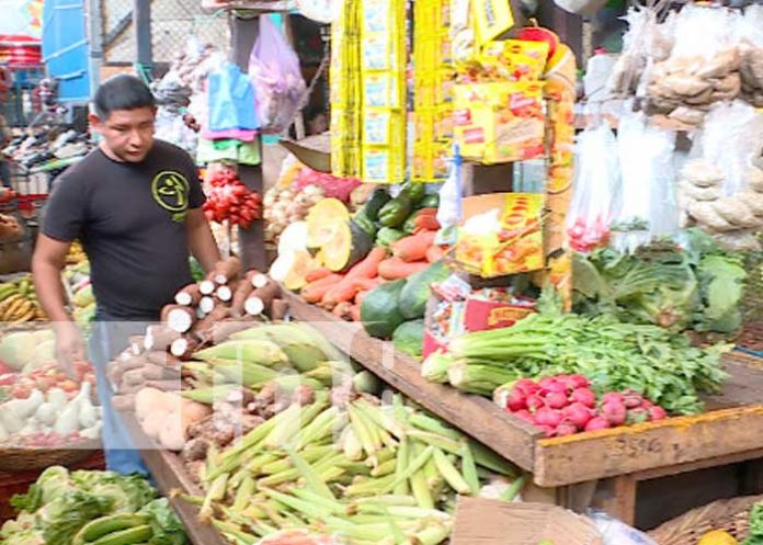 precios-mercados-7223 nicaragua, precios, mercado, canasta basica, estabilidad,