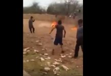 Prenden fuego a un perro y suben a redes sociales