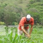 Dan a conocer en Estelí el Plan Nacional de Producción, Consumo y Comercio nicaragua, produccion, esteli, estrategia,