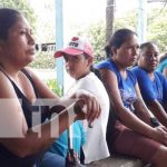 Se fortalecen las pequeñas fincas de producción en Río San Juan nicaragua, produccion, rio san juan, ganado,