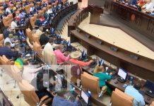 Directivos de Produzcamos y BCN ratificados en Asamblea Nacional nicaragua, banco, produzcamos, directivos, banco central, asamblea,