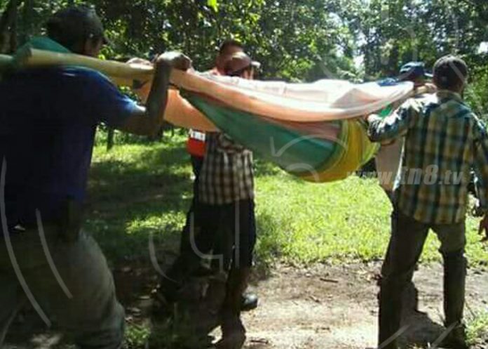 rayos