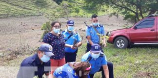 nicaragua, reforestacion, esteli, san nicolas, medio ambiente,