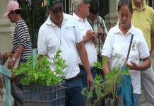 Lanzan campaña de reforestación en Ocotal