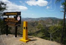 Evalúan tema forestal en región norte de Las Segovias