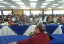 Realizan planes de reforestación en toda Nicaragua