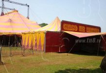 Muere elefante del Circo de Renato
