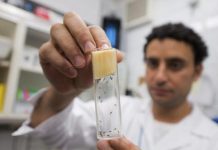 Ecuador: Reportan 10.000 casos de dengue y 1.000 de chikungunya