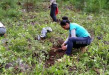 Estelí: Jornada de reforestación en reserva Tomabú