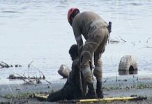 Rescatan a hombre de un fango cerca del Lago de Managua