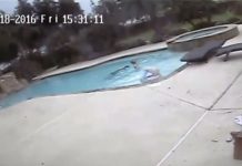 Niña de 5 años salvó a su mamá de ahogarse en pileta (Video)