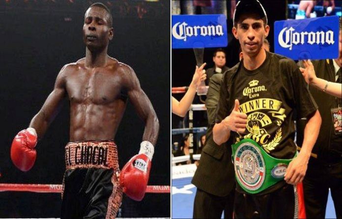 rigondeaux12191438_507375852757380_4616531640195839864_n