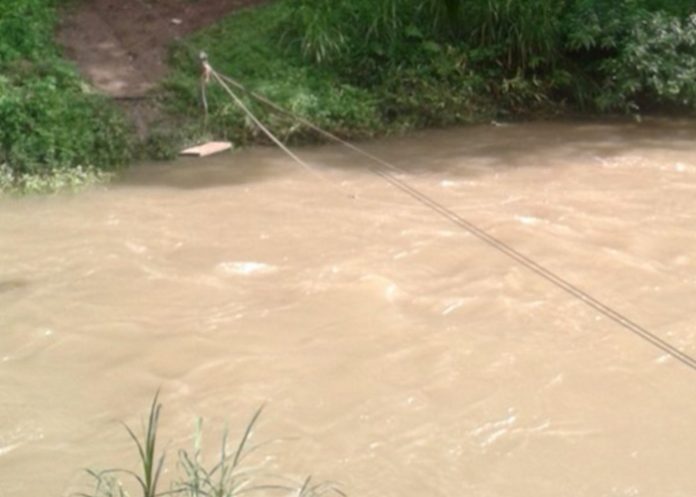 socorristas en la busqueda