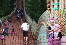 Descubren robo a través de esta fotografía