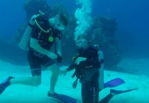 Romántico momento bajo el mar se vuelve viral