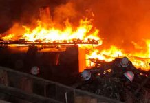 Rusia, Científicos,incendios, método matemático