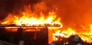 Rusia, Científicos,incendios, método matemático