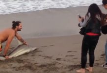 Sacó del agua a un tiburón para tomarse fotos