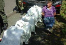 Detienen a tico con varios sacos de presunta cocaína