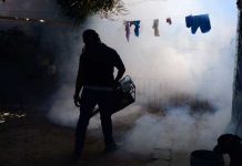 El Salvador: 15 mil casos sospechosos entre dengue, chikungunya y zika