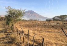 Incendio arrasa con Reserva Natural Volcán San Cristóbal
