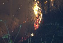 200 hectáreas de bosque han sido arrasadas por las quemas en San Fernando, Nueva Segovia