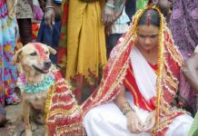 India: se casó con un perro para alejar la mala suerte