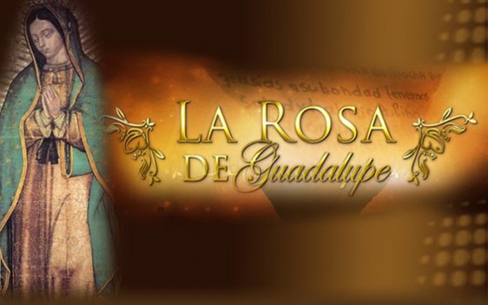 secreto-de-la-rosa-de-guadalupe