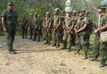 Ejército de Nicaragua garantiza seguridad a productores