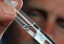 Zika podría permanecer en semen mucho después de desaparecer los síntomas