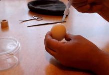Metió semen en un huevo y mirá lo qué pasó