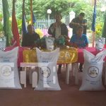 Programa de semilla de arroz beneficiará a 62 productores de Carazo nicaragua, semilla, arroz, carazo, produccion,