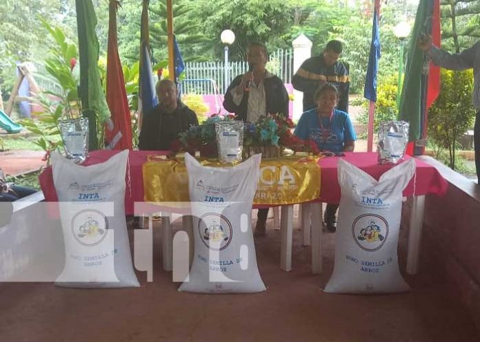 nicaragua, semilla, arroz, carazo, produccion,