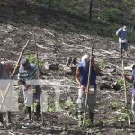 nicaragua, rivas, produccion, bono, semilla,