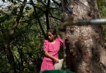 Sequía deriva en crisis alimentaria en Guatemala