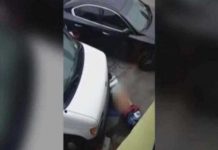 Graban a degenerado teniendo sexo con el pavimento