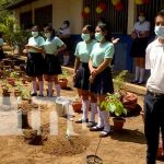 nicaragua, siembra, arboles, asamblea, colegio,