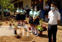 Siembra de árboles en Managua por parte de comisión ambiental de la Asamblea nicaragua, siembra, arboles, asamblea, colegio,