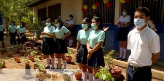nicaragua, siembra, arboles, asamblea, colegio,