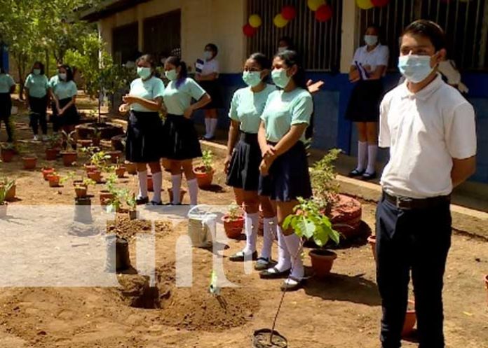 nicaragua, siembra, arboles, asamblea, colegio,