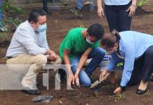 Autoridades educativas en Nicaragua siembran árboles en el colegio Ramírez Goyena nicaragua, managua, siembra, arboles, colegio,