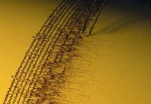 Sacude sismo de 5,3 grados en México