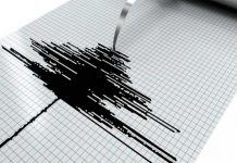 Se registra sismo frente a corinto